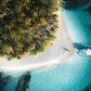 ISLAND GLIDE SKATE TOUR