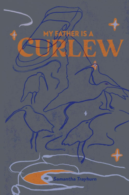 My Father is a Curlew - Novel
