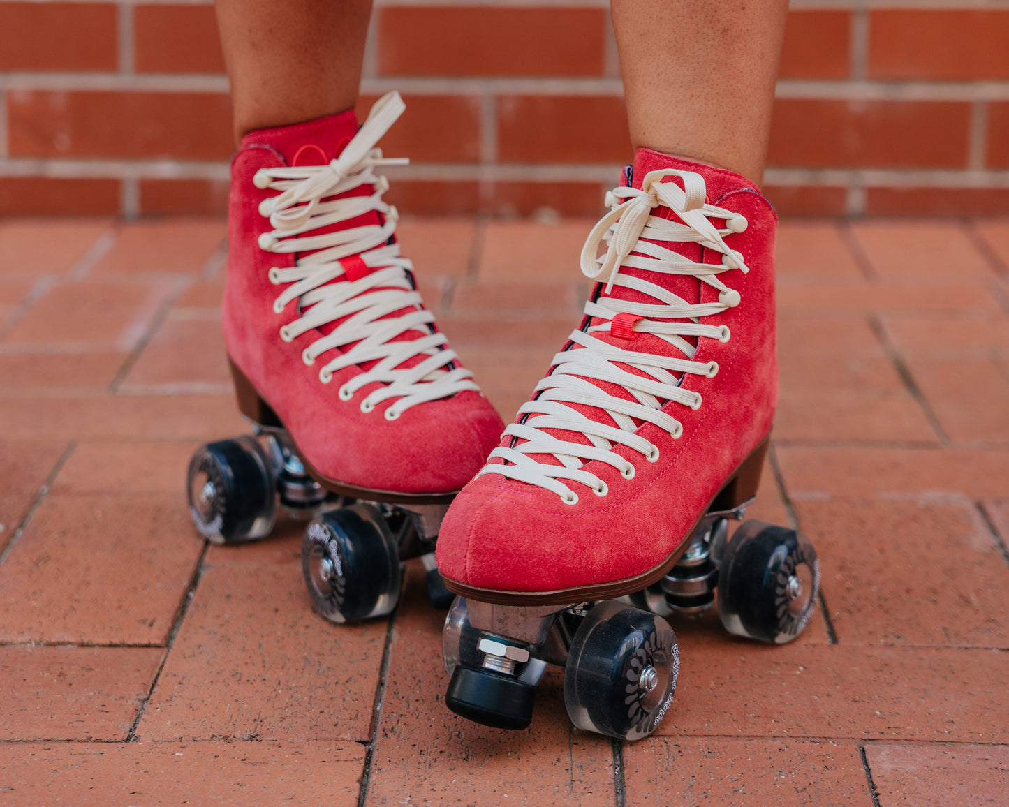 WANDERER Chuffed Skates - WATERMELON